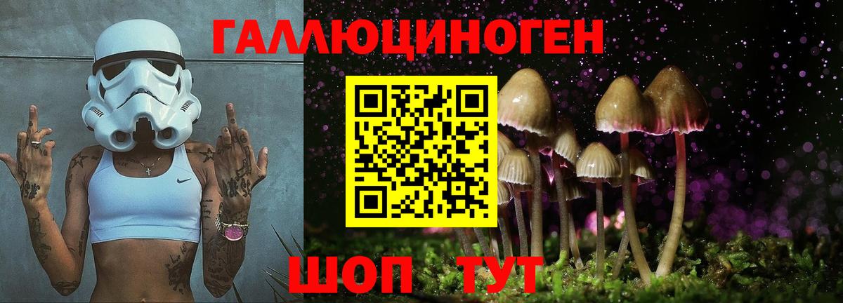 Галлюциногенные грибы мицелий  Галлюциногенные грибы мухоморы  Верхняя Салда 